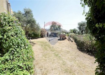 Giardino - Villa Sassari - foto 11