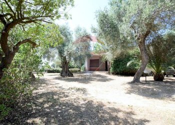 Giardino - Villa Sassari - foto 14