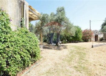 Giardino - Villa Sassari - foto 15