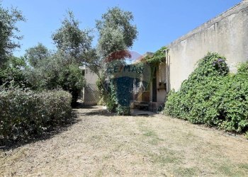 Giardino - Villa Sassari - foto 16