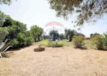 Giardino - Villa Sassari - foto 17