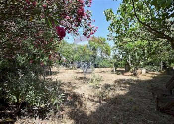 Giardino - Villa Sassari - foto 31