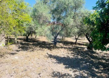 Giardino - Rustico Contrada Montesano Piano Pozzi - Vaccaria, Modica - foto 4