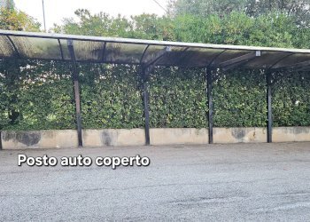 Foto 17 - Quadrilocale Quartiere San Benedetto, Teramo - foto 17