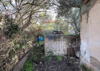 Giardino - Villa Via Vito Schifani, Terrasini - foto 13