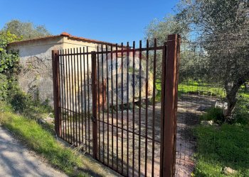 Casa all\'aperto - Villa Traversa al numero 55 di via Bari, Bari - foto 1