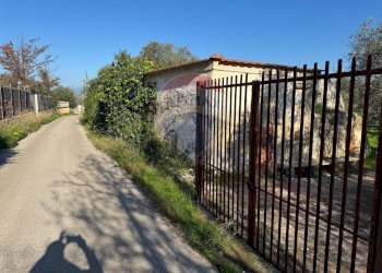 Casa all\'aperto - Villa Traversa al numero 55 di via Bari, Bari - foto 2