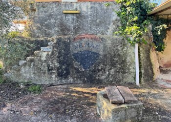 Giardino - Villa Traversa al numero 55 di via Bari, Bari - foto 5