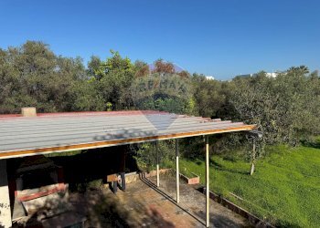 Casa all\'aperto - Villa Traversa al numero 55 di via Bari, Bari - foto 9