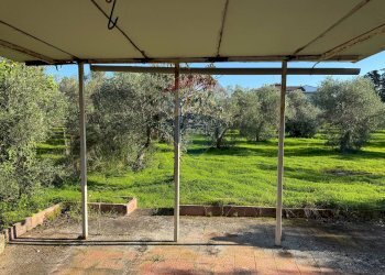 Giardino - Villa Traversa al numero 55 di via Bari, Bari - foto 10