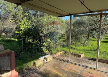 Giardino - Villa Traversa al numero 55 di via Bari, Bari - foto 11