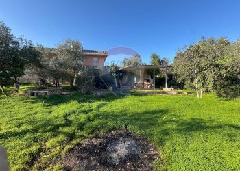 Giardino - Villa Traversa al numero 55 di via Bari, Bari - foto 13