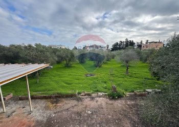 Giardino - Villa Traversa al numero 55 di via Bari, Bari - foto 16