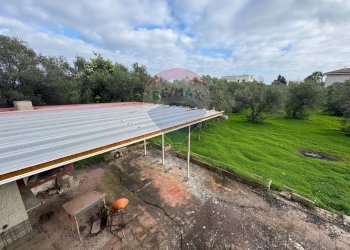 Giardino - Villa Traversa al numero 55 di via Bari, Bari - foto 17