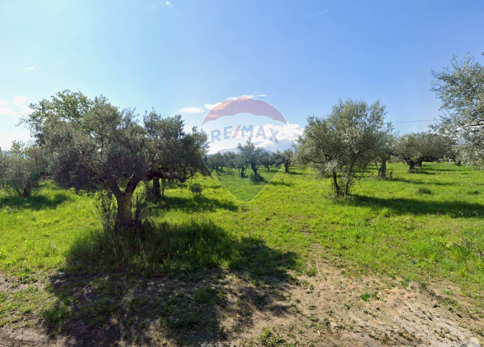 Giardino - Building land Via Aurora, Cepagatti - photo 1