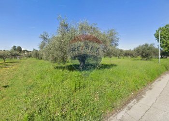 Giardino - Terreno edificabile Via Aurora, Cepagatti - foto 2