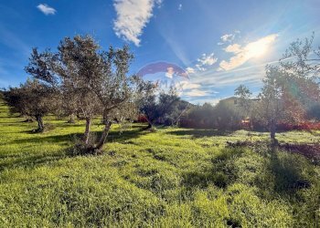 Giardino - Terreno edificabile Montesilvano - foto 3