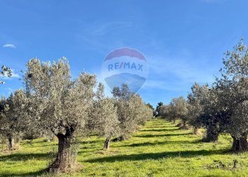 Giardino - Terreno edificabile Montesilvano - foto 4