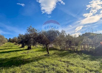 Giardino - Terreno edificabile Montesilvano - foto 5