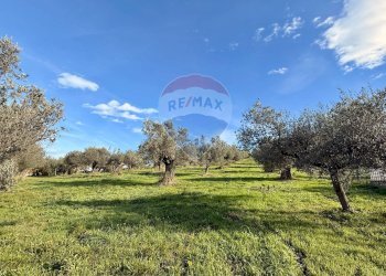 Giardino - Terreno edificabile Montesilvano - foto 6