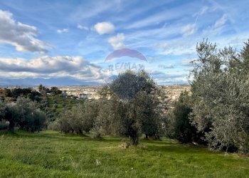 Giardino - Terreno edificabile Montesilvano - foto 7