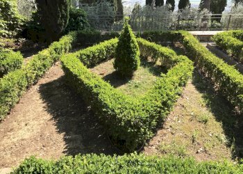 Particolare del resede condominiale - Apartment Via delle Cappelle di Sopra, Calenzano - photo 26