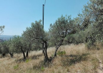 Foto 1 - Terreno agricolo Località Baroncoli, Calenzano - foto 1