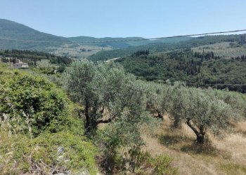 Foto 2 - Terreno agricolo Località Baroncoli, Calenzano - foto 2