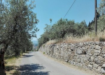 Foto 4 - Terreno agricolo Località Baroncoli, Calenzano - foto 4