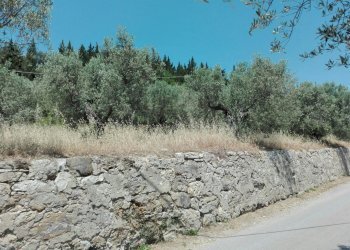 Foto 7 - Terreno agricolo Località Baroncoli, Calenzano - foto 7