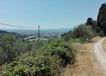 Foto 8 - Terreno agricolo Località Baroncoli, Calenzano - foto 8