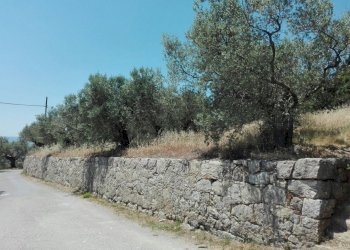 Foto 9 - Terreno agricolo Località Baroncoli, Calenzano - foto 9