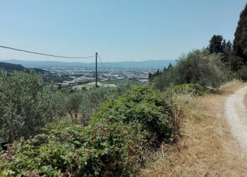 Foto 10 - Terreno agricolo Località Baroncoli, Calenzano - foto 10