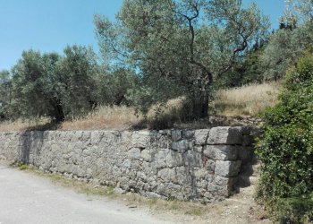 Foto 11 - Terreno agricolo Località Baroncoli, Calenzano - foto 11