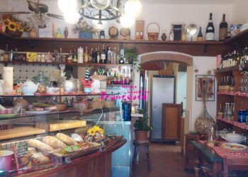 Foto 1 - Attività Commerciale Via Chiantigiana per Ferrone, Impruneta - foto 1