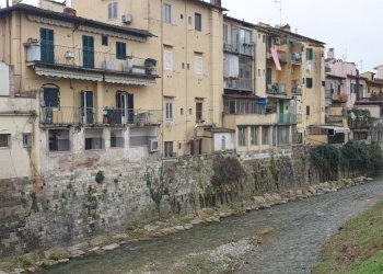 Foto 6 - Attività Commerciale Piazza delle Cure, Firenze - foto 5