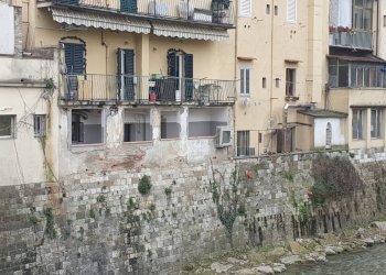 Foto 8 - Attività Commerciale Piazza delle Cure, Firenze - foto 7