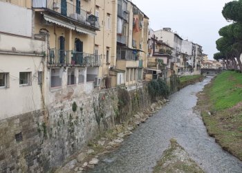 Foto 10 - Attività Commerciale Piazza delle Cure, Firenze - foto 9