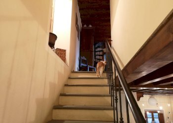 Foto 33 - Casa indipendente Via di Carraia, Calenzano - foto 32