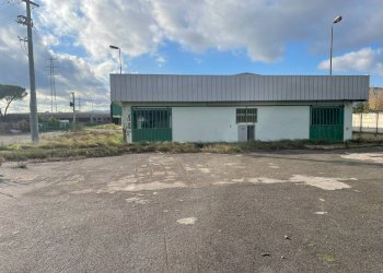 Foto 12 - Capannone Via Fosco Bessi, Calenzano - foto 12