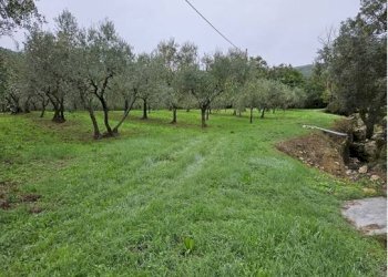 Foto 1 - Terreno agricolo Località Secciano, Calenzano - foto 1