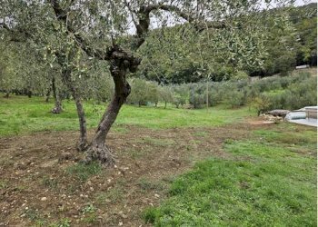 Foto 7 - Terreno agricolo Località Secciano, Calenzano - foto 7