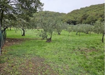 Foto 8 - Terreno agricolo Località Secciano, Calenzano - foto 8