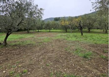 Foto 9 - Terreno agricolo Località Secciano, Calenzano - foto 9