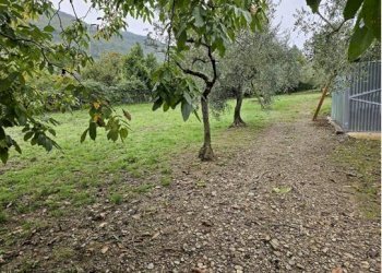 Foto 10 - Terreno agricolo Località Secciano, Calenzano - foto 10