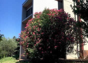 Foto 2 - Villa via di San Miniato, Signa - foto 2