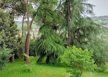 Foto 8 - Villa via di San Miniato, Signa - foto 8