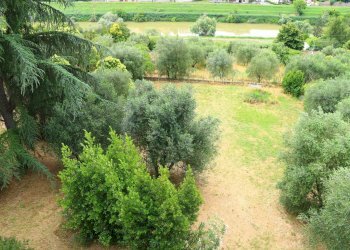 Foto 9 - Villa via di San Miniato, Signa - foto 9