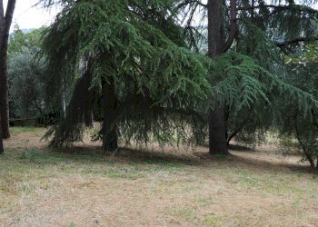 Foto 38 - Villa via di San Miniato, Signa - foto 38