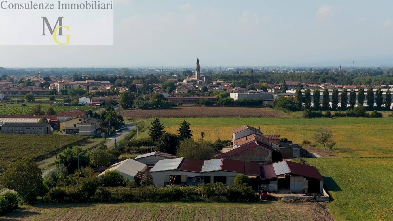 Foto 2 - Agricultural land Albaredo d'Adige - photo 2